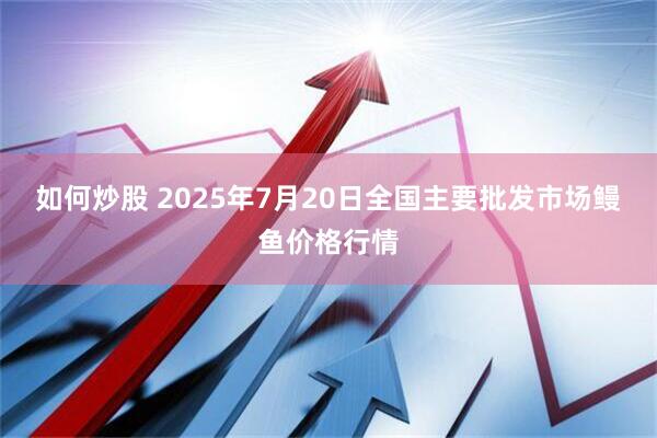 如何炒股 2025年7月20日全国主要批发市场鳗鱼价格行情